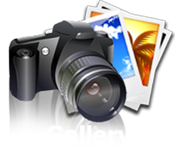 Photos here